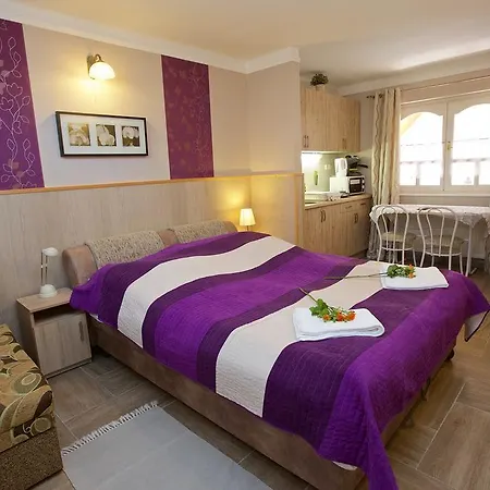 Fonix Apartmanhaz Hajduszoboszlo